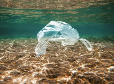 Floating Plastic Bag